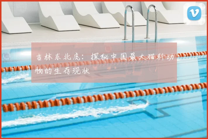 吉林东北虎：探秘中国最大猫科动物的生存现状