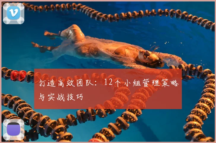 打造高效团队：12个小组管理策略与实战技巧